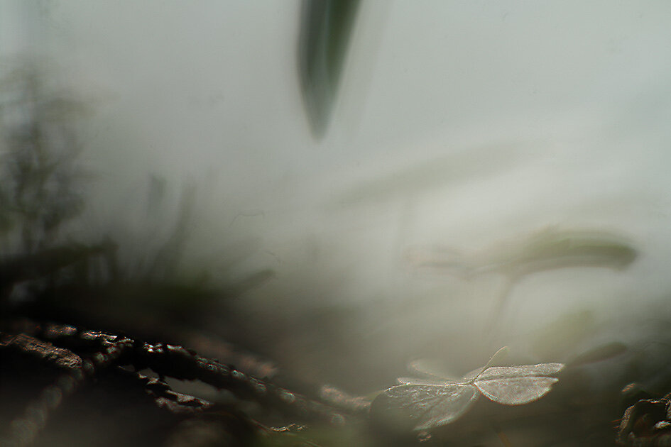 IMG-2028.jpg